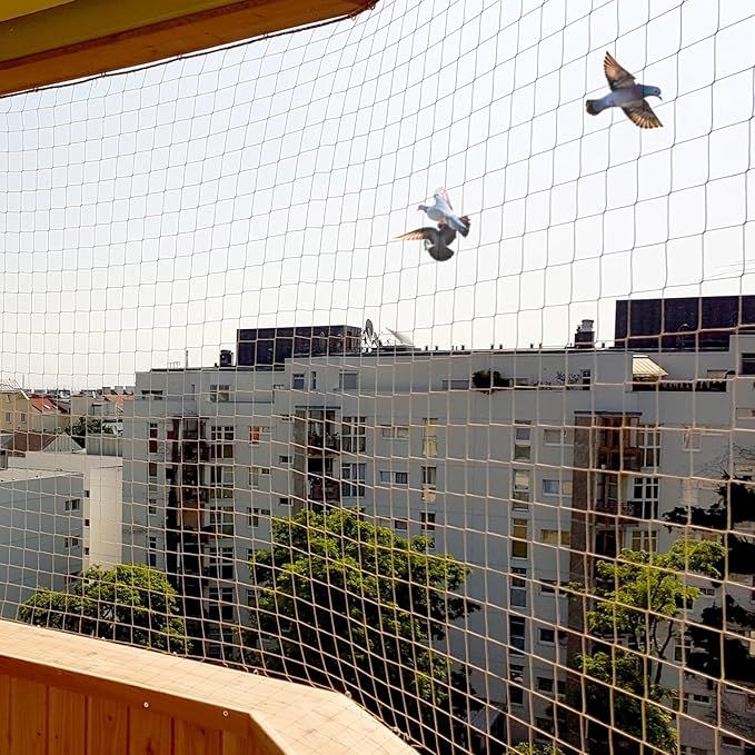 Pigeon Safety Nets