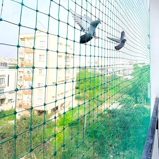Pigeon Safety Nets